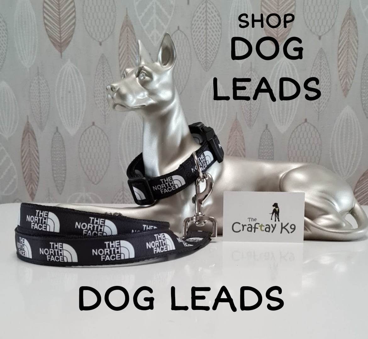 DOG LEADS